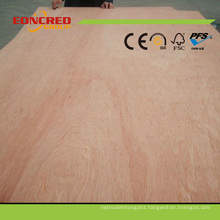 Quality 18mm Bintangor Plywood in China